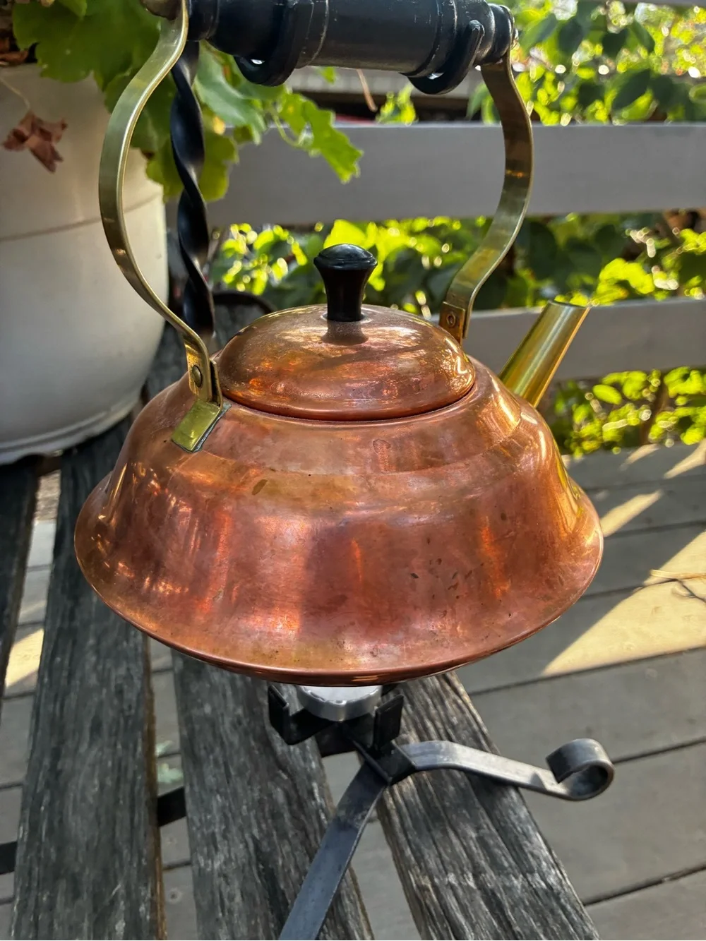 Source Unknown attractive copper